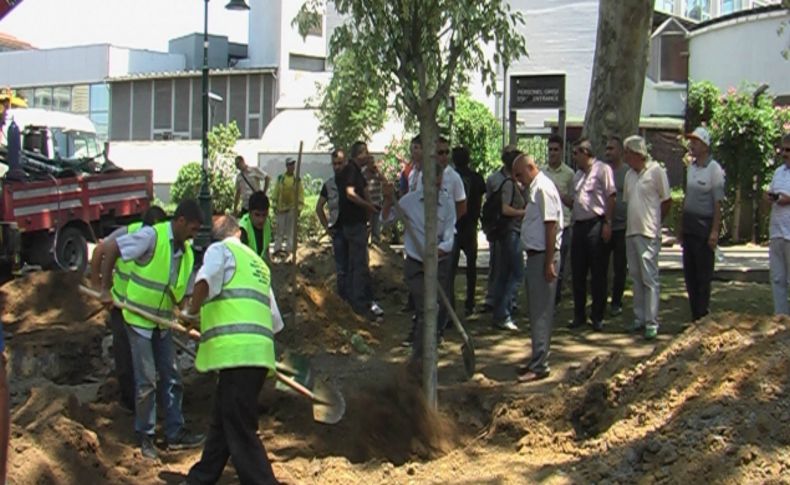 Gezi Parkı'na yeni ağaçlar dikiliyor