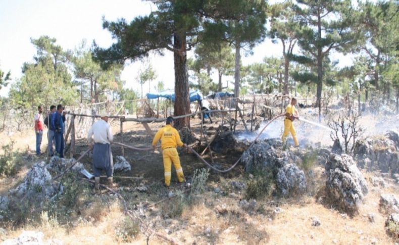 Gülnar'da ağılda çıkan yangın korkuttu