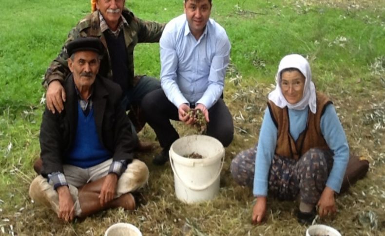 Gürkan 'Güzelbahçe zeytini altin değerinde'