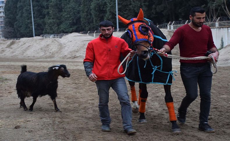 Hasfırtına'nın kaderi, 'keçi Taner' ile değişti