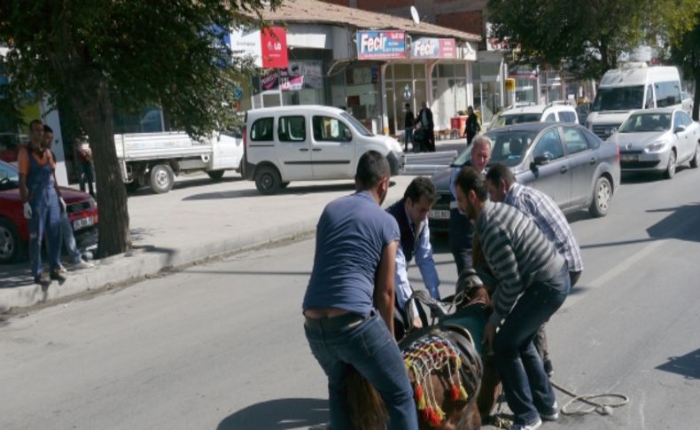 Hastalanan at kepçe yardımıyla taşındı