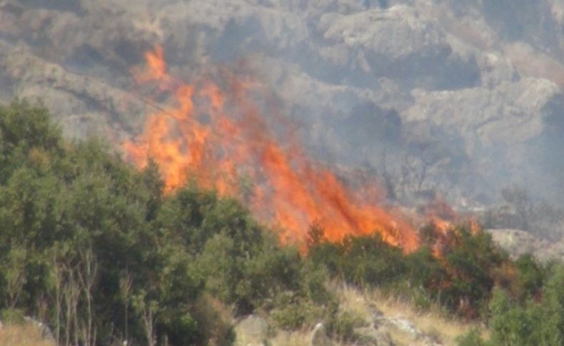 Hatay'da atış talimi sonrası ormanı yangını çıktı