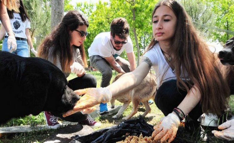 Hayvanların gönüllü dostları