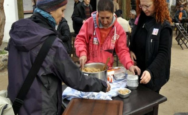 Hollandali Öğretmen Gümüşlük’E Gömüldü