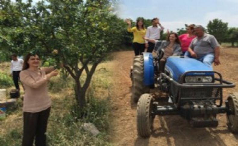 AK Parti Adayı Hotar çiftçilerle buluştu: Traktör kullandı, tarla sürdü