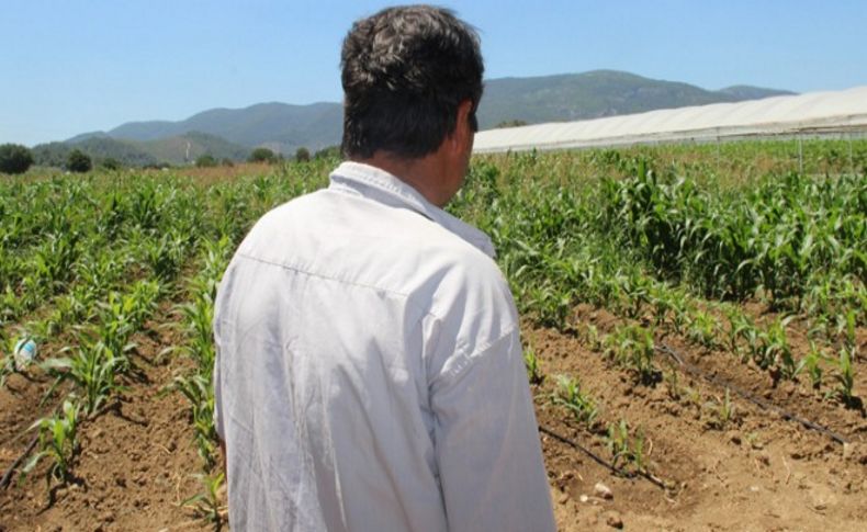 İstismar mağduru çocukların psikolojisi bozuldu