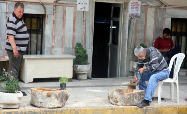 Ulu çınardı saksı oldu