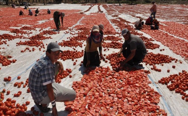 Mevsimlik işçi istihdamında Suriyeli dönemi