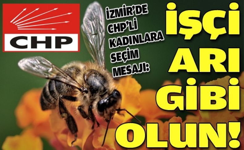 CHP'li kadınlara 'Işık' saçan mesajlar!