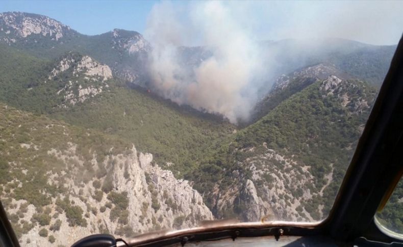 İzmir'de makilik alanda yangın