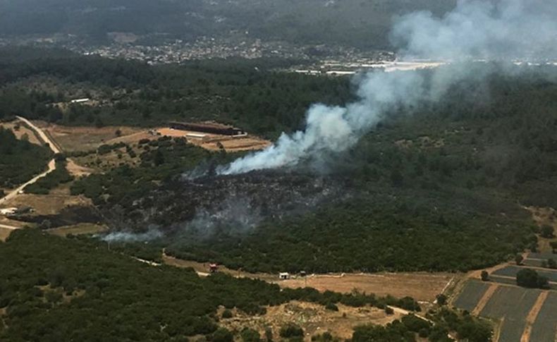 İzmir'de orman yangını