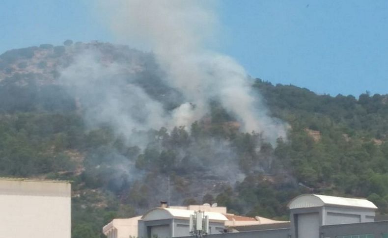 İzmir'de orman yangını... Yakan aranıyor