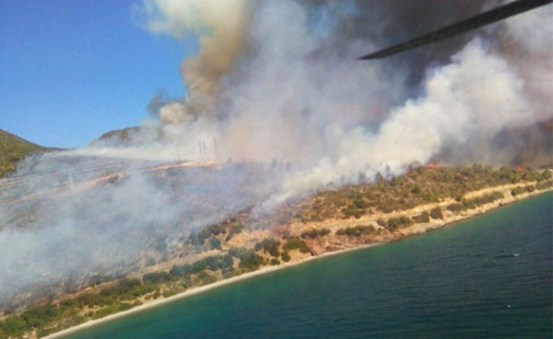 İzmir'de piknikçi ateşi ormanı yaktı