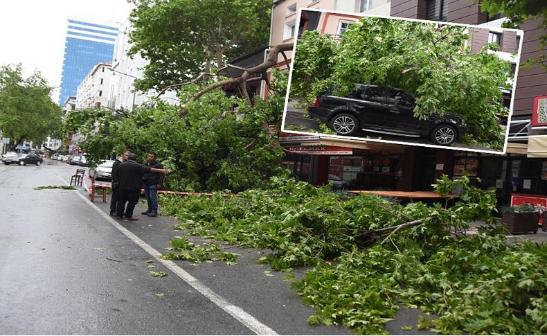 İzmir'de şiddetli fırtına nedeniyle ağaçlar devrildi