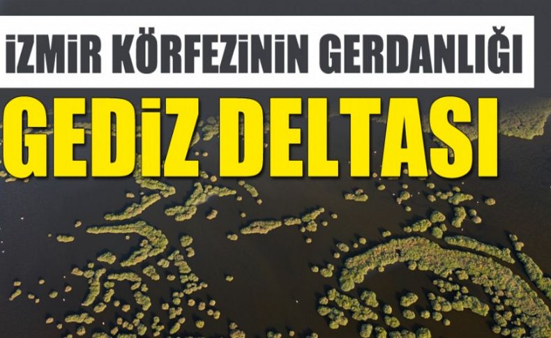 İzmir Körfezi'nin 'gerdanlığı' Gediz Deltası!