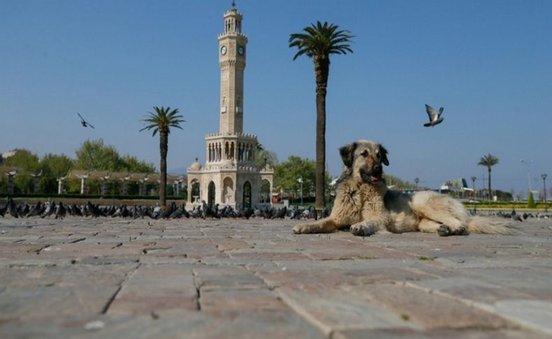 Sokağa çıkma kısıtlamasındaki istisnalar açıklandı