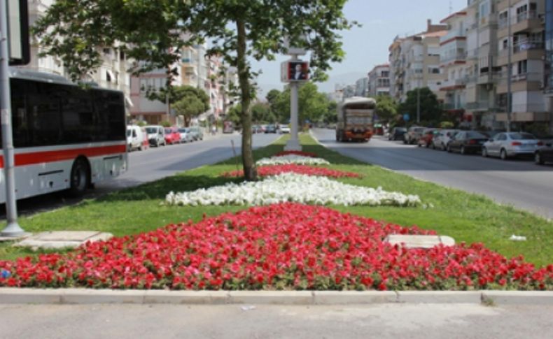 İzmir çiçek açtı,  gitti godetya, geldi petunya