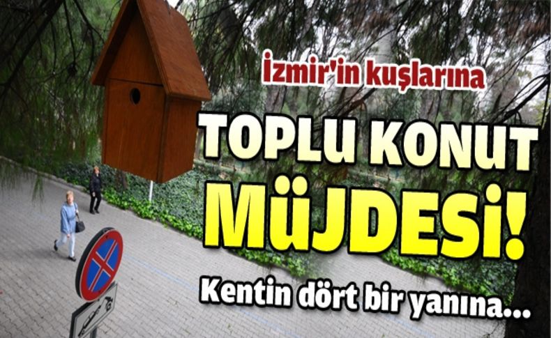 İzmir’in kuşları için ikinci “toplu konut” projesi