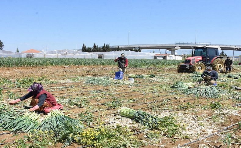 İzmirli çiftçiler 'muaf' kararından memnun
