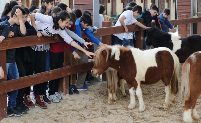 Karşıyaka'da hayvan sevgisine engel yok