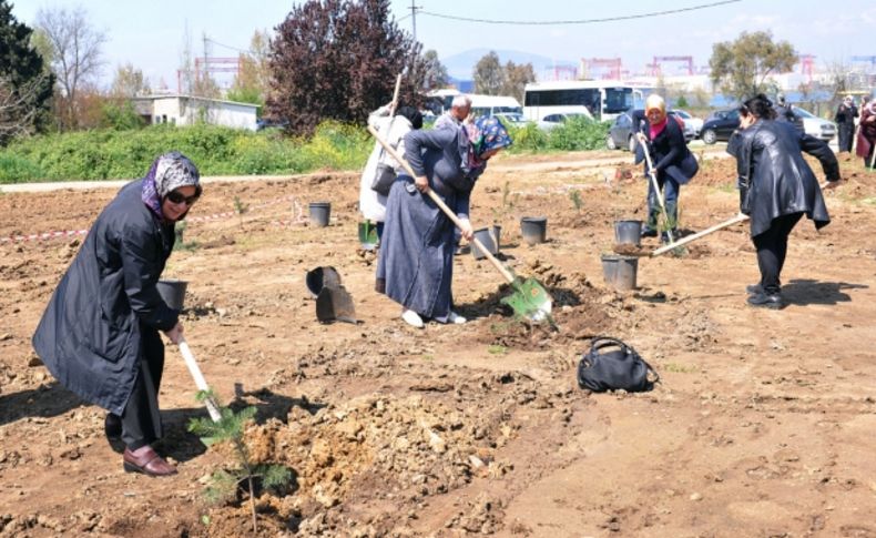 Kadın Kent Gönüllüleri, fidanlık oluşturdu