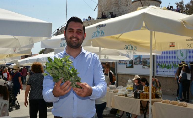 Alaçatı otlarını dünya tadacak