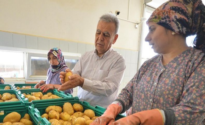 Patates üreticisine güzel haber