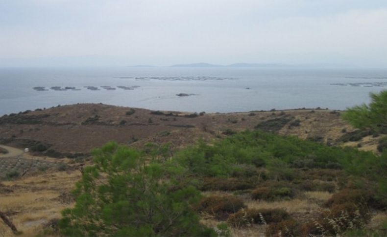 Valilikten Karaburun'a balık çiftliği vizesi