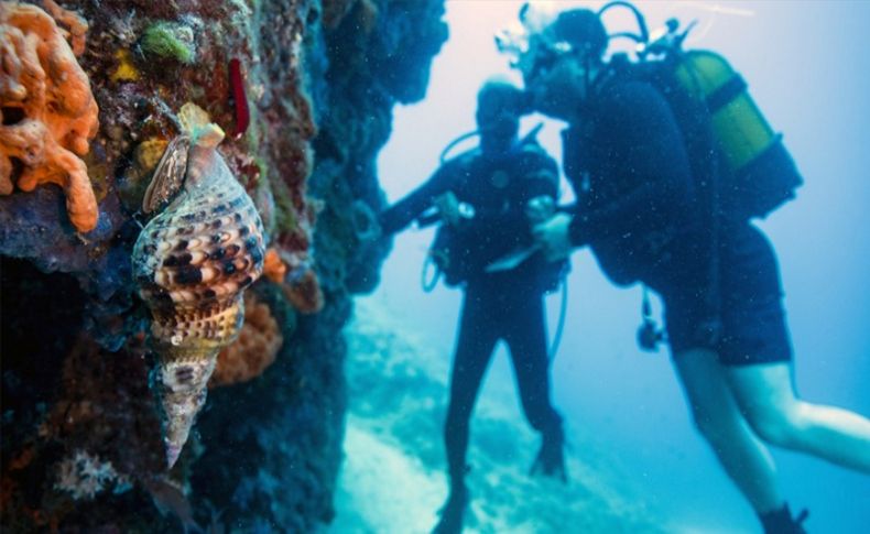 Karaburun su altı güzellikleriyle ziyaretçilerin ilgisini çekiyor