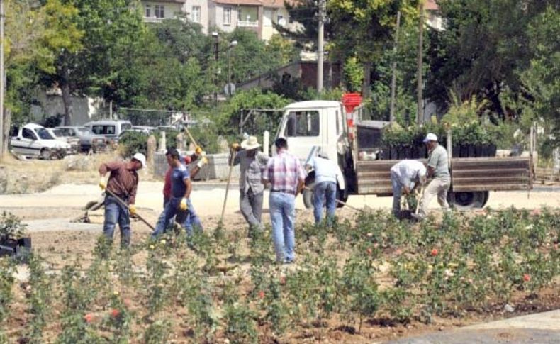 Karaman'da mezarlığa 10 bin gül ekildi