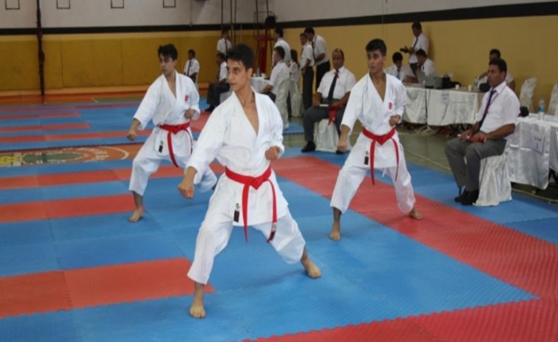 Karate Federasyonu Başkanı Delihasan, tatamiye indi