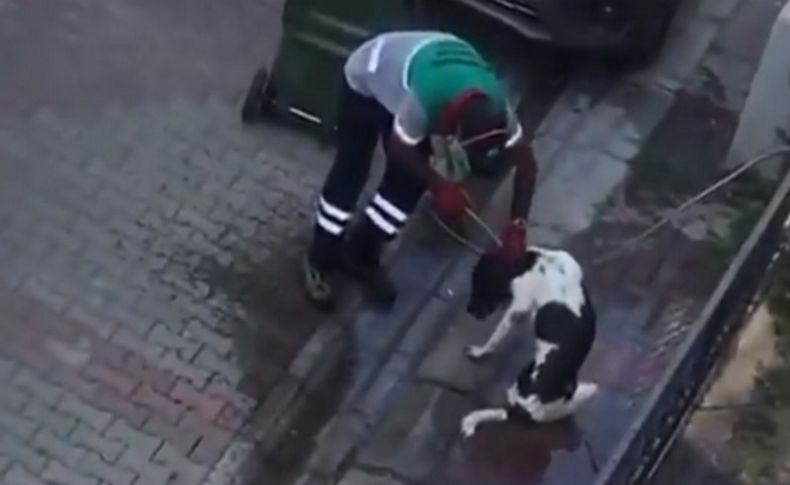 Karşıyaka’da belediye işçisi  köpeği hortumla yıkadı! O anlar büyük beğeni topladı