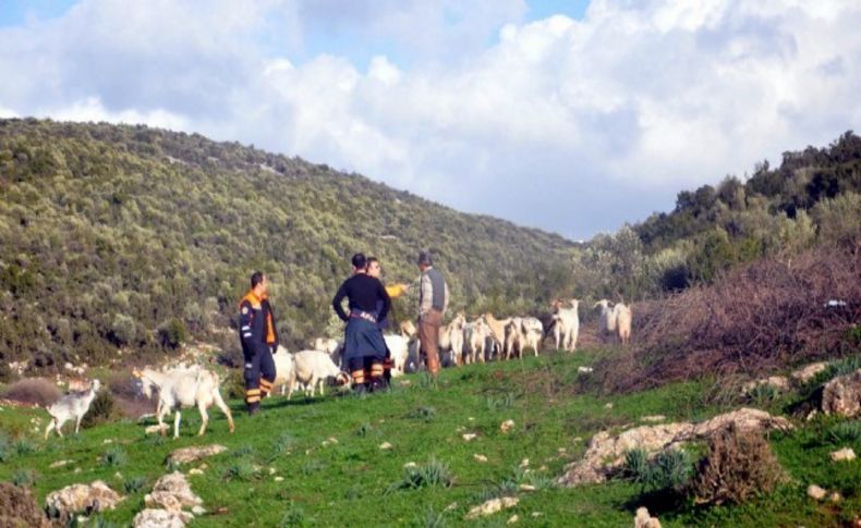 Keçisini aramaya gidip kaybolan yaşlı kadından iyi haber