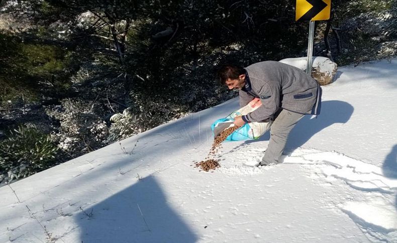 Soğuk kış günlerinde can dostlar unutulmadı