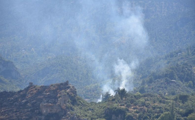 Kemalpaşa'da orman yangını