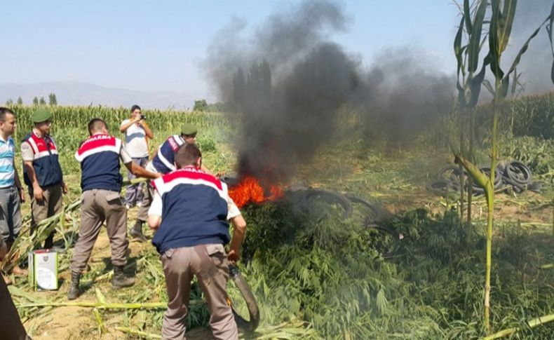 Kenevir ormanı kurmuşlar, bir de Ayet-el Kürsi asmışlar