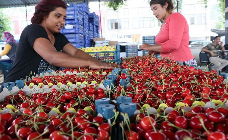 Kiraz fiyatının düşmesine tepki