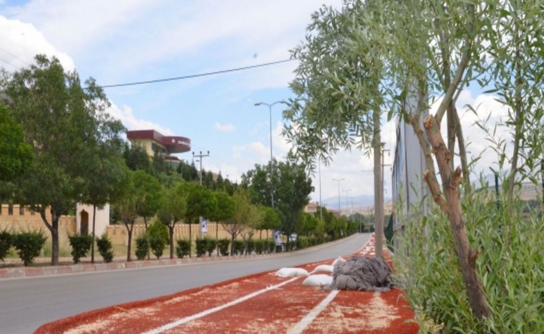 Kırıkkale'de yürüyüş yolu yenilendi