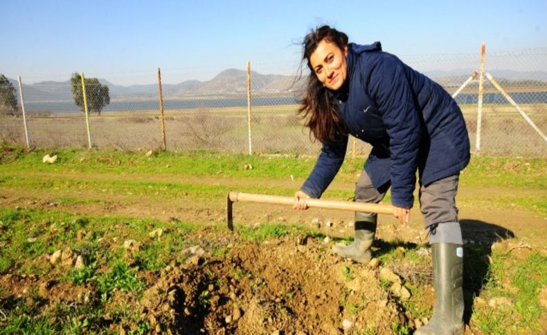 Kocaoğlu’ndan DSİ’ye çağrı: İzin verin damlama sulama yapalım