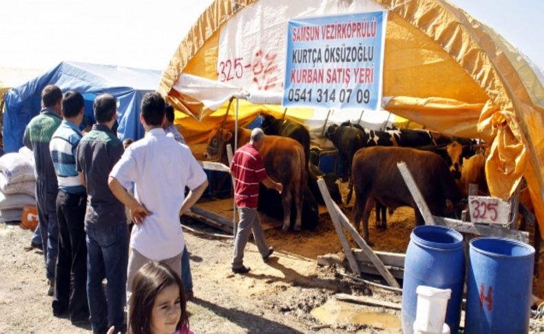 Kurbanlık almak için son haftayı bekliyorlar