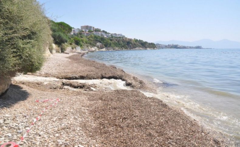 Ege'nin turizm cennetinde iki plajda denize giriş yasağı