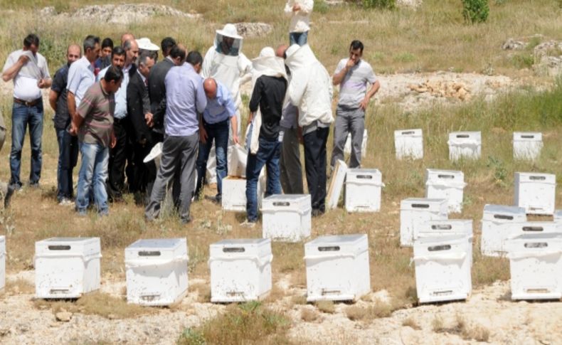 Mardin'de bal üreticilerine 418 polen tuzaklı kovan dağıtıldı