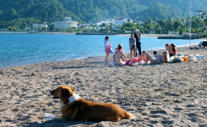 Marmaris'te pastırma yazı keyfi