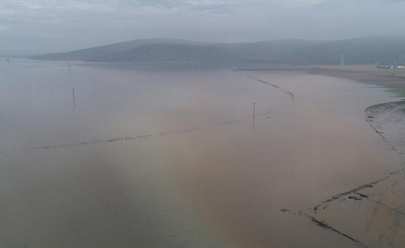 Menderes Nehri taştı, tarım arazileri göle döndü