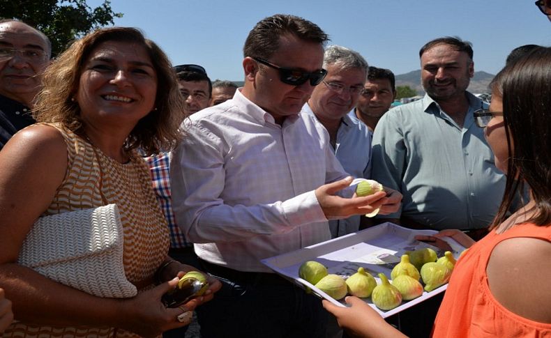 Menemen 2. Bozalan İncir Festivali’ne büyük ilgi