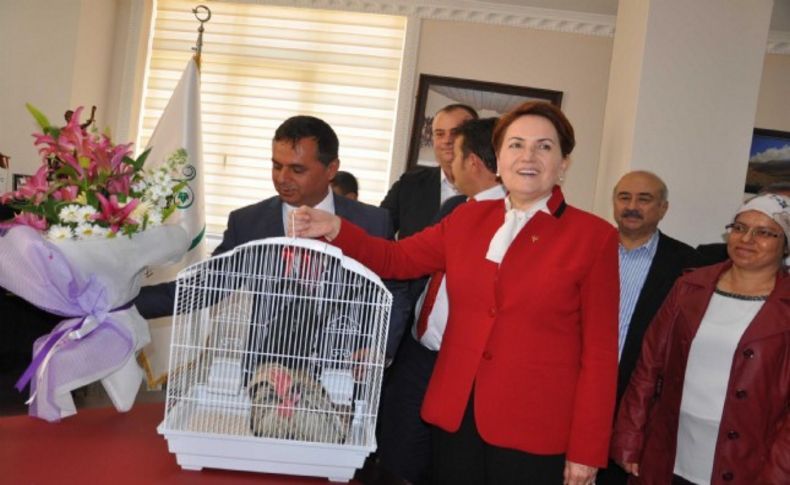 Akşener: Nasıl kaçarlarsa kaçsınlar kongre yapılacak