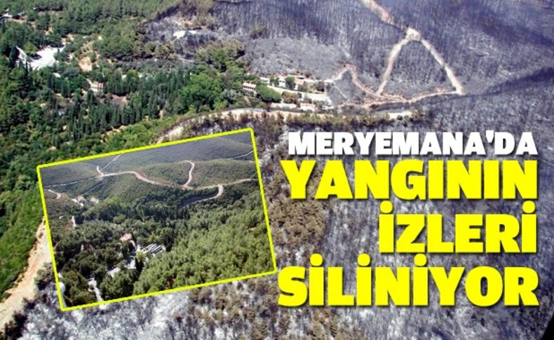 Meryemana'da yangının izleri siliniyor