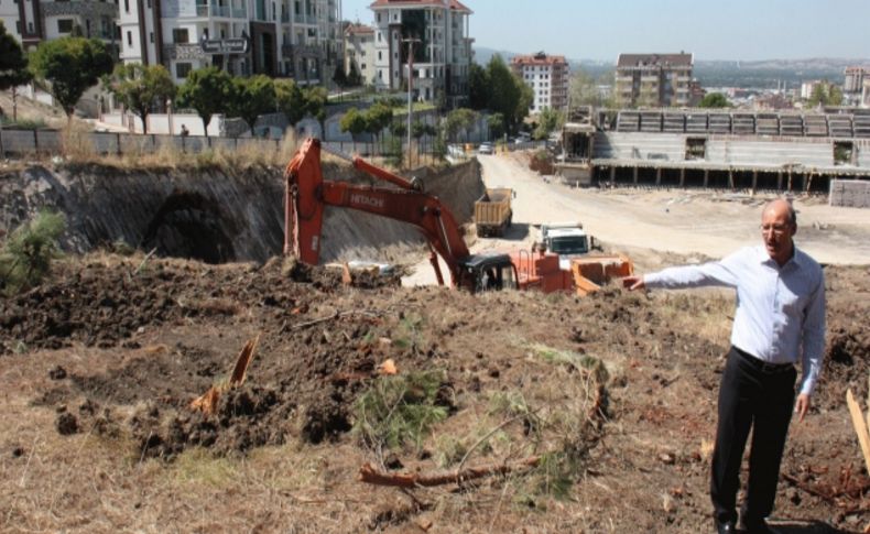 Milletvekili Öztürk'ten ağaç katliamına tepki