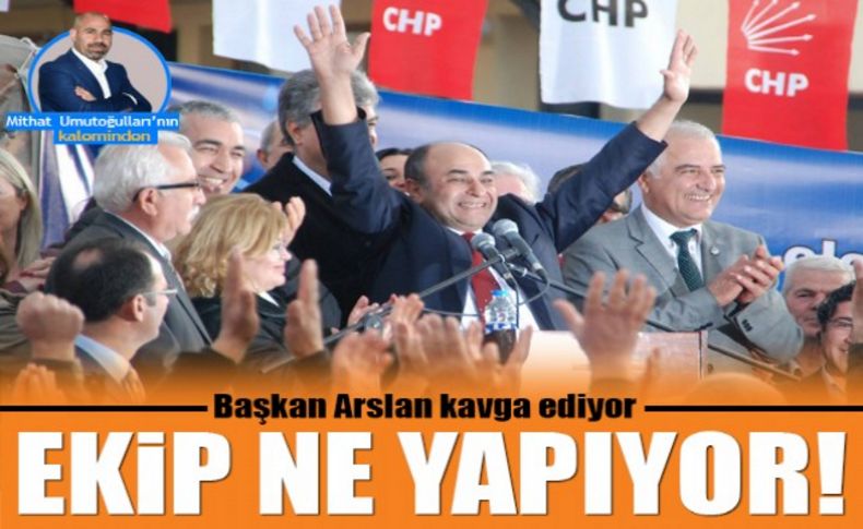 Arslan kavga ediyor, ekip ne yapıyor!