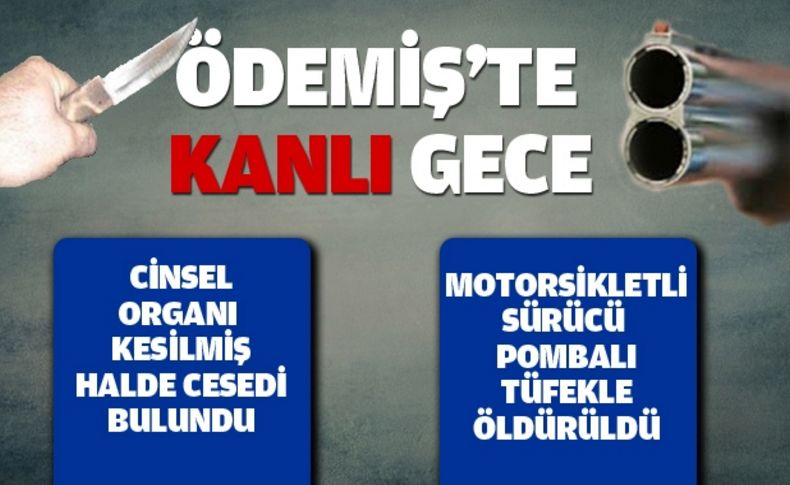 Ödemiş'te 1 gecede 2 faili meçhul cinayet